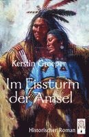 Im Eissturm der Amsel 1