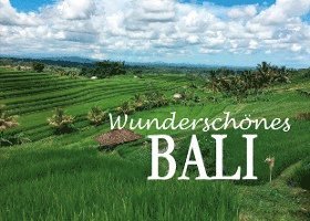 Wunderschönes Bali 1