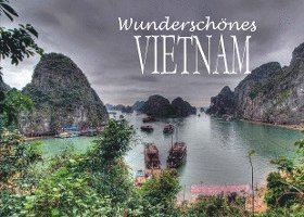 bokomslag Wunderschönes Vietnam