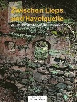 bokomslag Zwischen Lieps und Havelquelle (Band 2)