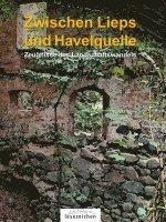 bokomslag Zwischen Lieps und Havelquelle (Band 2)