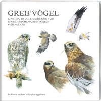 Greifvögel 1