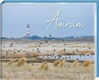 bokomslag Naturerlebnis Amrum