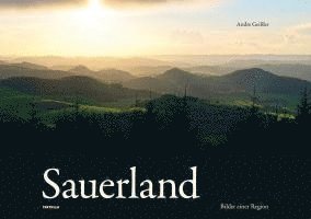 bokomslag Sauerland