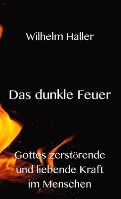 Wilhelm Haller - dunkle Feuer, Inbunden