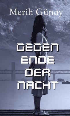 bokomslag Gegen Ende der Nacht