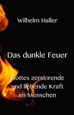 Wilhelm Haller - dunkle Feuer, Häftad