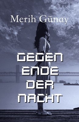 bokomslag Gegen Ende der Nacht