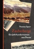 Zauberberge 1