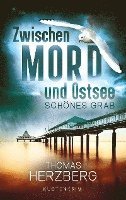 bokomslag Schönes Grab (Zwischen Mord und Ostsee - Küstenkrimi 4)