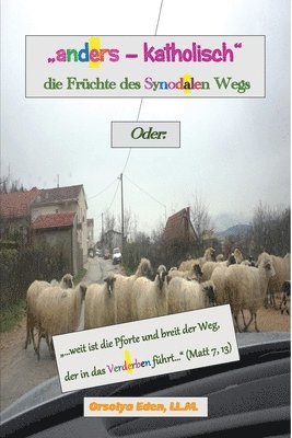 &quot;anders - katholisch&quot;, die Frchte des Sydonalen Wegs 1