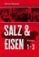 bokomslag Salz & Eisen