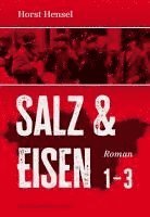 Horst Hensel - Salz & Eisen, Inbunden