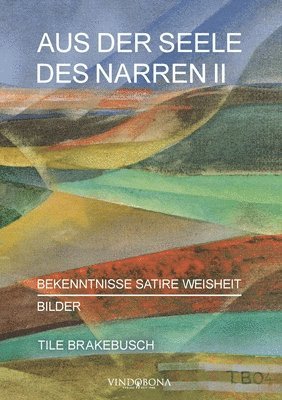 bokomslag Aus der Seele des Narren II