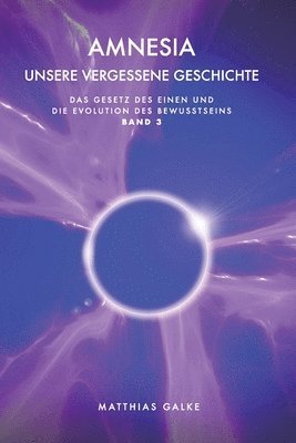 bokomslag Amnesia