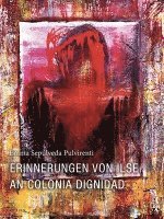 bokomslag Erinnerungen von Ilse an Colonia Dignidad