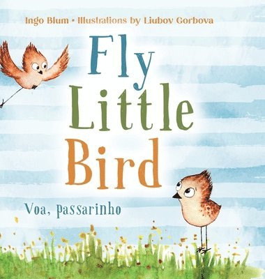 bokomslag Fly, Little Bird - Voa, passarinho