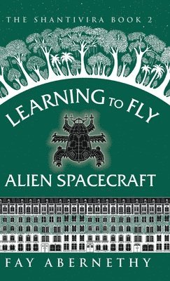 bokomslag Learning to Fly Alien Spacecraft