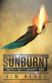 bokomslag Sunburnt