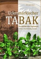 bokomslag Uckermärkischer Tabak