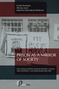 bokomslag Prison as a Mirror of Society