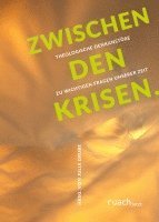Julia Drube, Lisa Menzel - Zwischen den Krisen, Inbunden