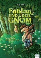 bokomslag Fabian und der Gnom