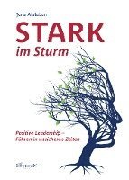 bokomslag Stark im Sturm