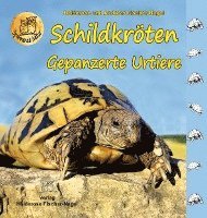 bokomslag Schildkröten - Gepanzerte Urtiere