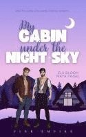 bokomslag My Cabin under the Night Sky