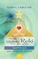 bokomslag Intuitives Reiki nach Sensei Mikaomi Usui. Meistergrad