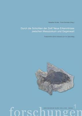 Sebastian Krutter, Frank Schröder - Durch die Schichten der Zeit! Neue Erkenntnisse zwischen Mesozoikum und Gegenwart, Häftad
