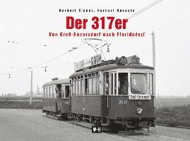 bokomslag Der 317er