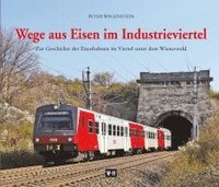 bokomslag Wege aus Eisen im Industrieviertel