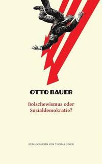 bokomslag Bolschewismus oder Sozialdemokratie?