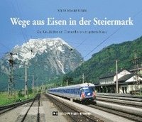 bokomslag Wege aus Eisen in der Steiermark