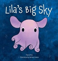 bokomslag Lila's Big Sky