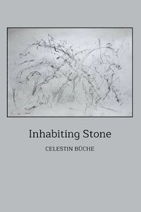 bokomslag Inhabiting Stone