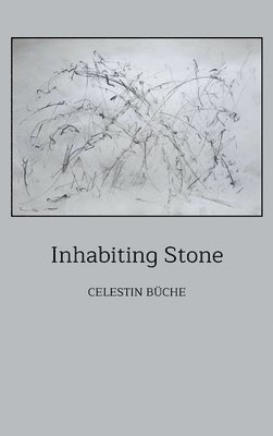 Celestin Büche, Celestin Buche - Inhabiting Stone, Inbunden