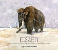 bokomslag Faszination EISZEIT