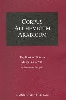 bokomslag Corpus Alchemicum Arabicum Vol 2: Facsimile of the Book of Pictures Mushaf As-Suwar