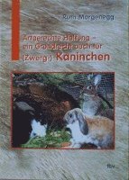 bokomslag Artgerechte Haltung - ein Grundrecht auch für (Zwerg-) Kaninchen