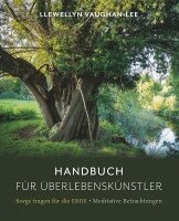 Llewellyn Vaughan-Lee - Handbuch für Überlebenskünstler, Häftad