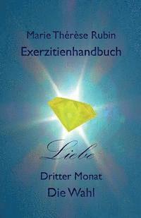 bokomslag Exerzitienhandbuch Liebe: Dritter Monat Die Wahl