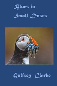 bokomslag Blues In Small Doses