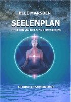 Blue Marsden, Katharina Alper - Seelenplan, Häftad