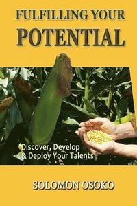 bokomslag Fulfilling Your Potential: Discover, Develop & Deploy Your Talents