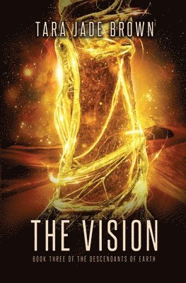 The Vision 1