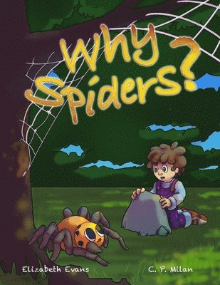 Why Spiders? 1