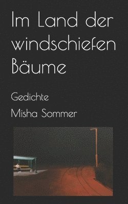 bokomslag Im Land der windschiefen Bäume